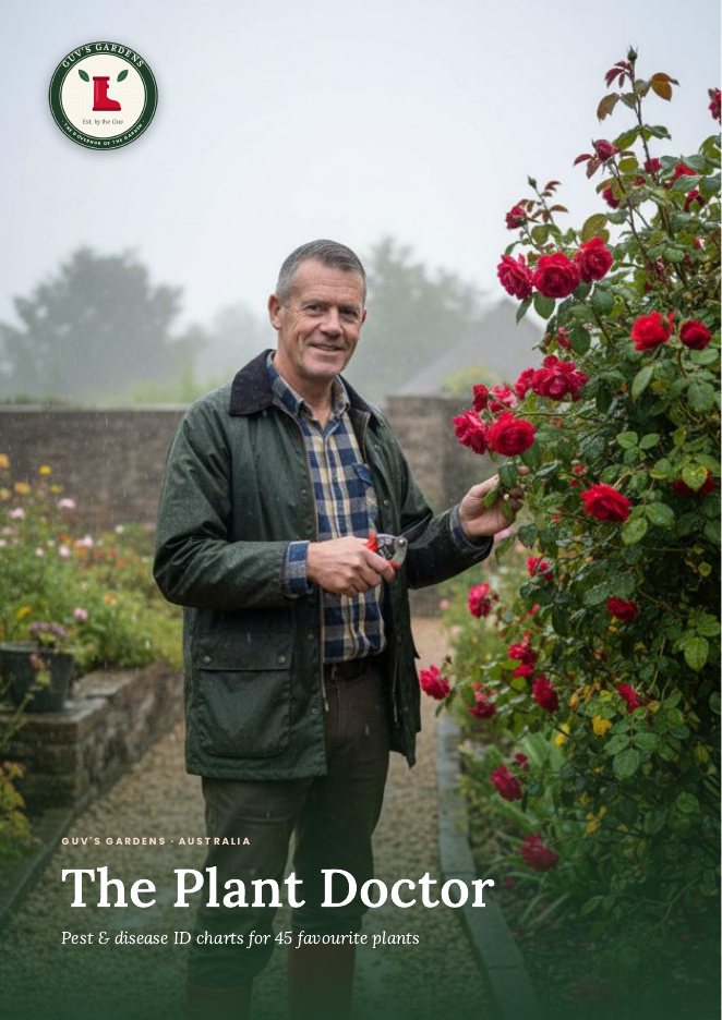 The Plant Doctor cover
